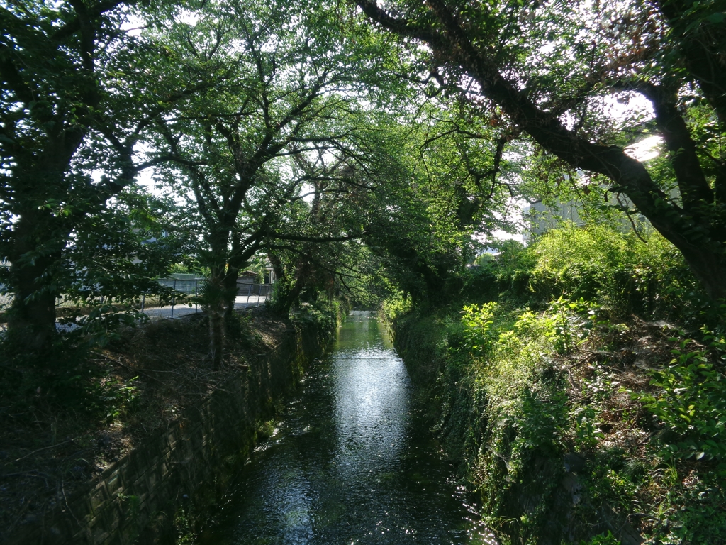 用水路