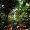 金鑚神社参道