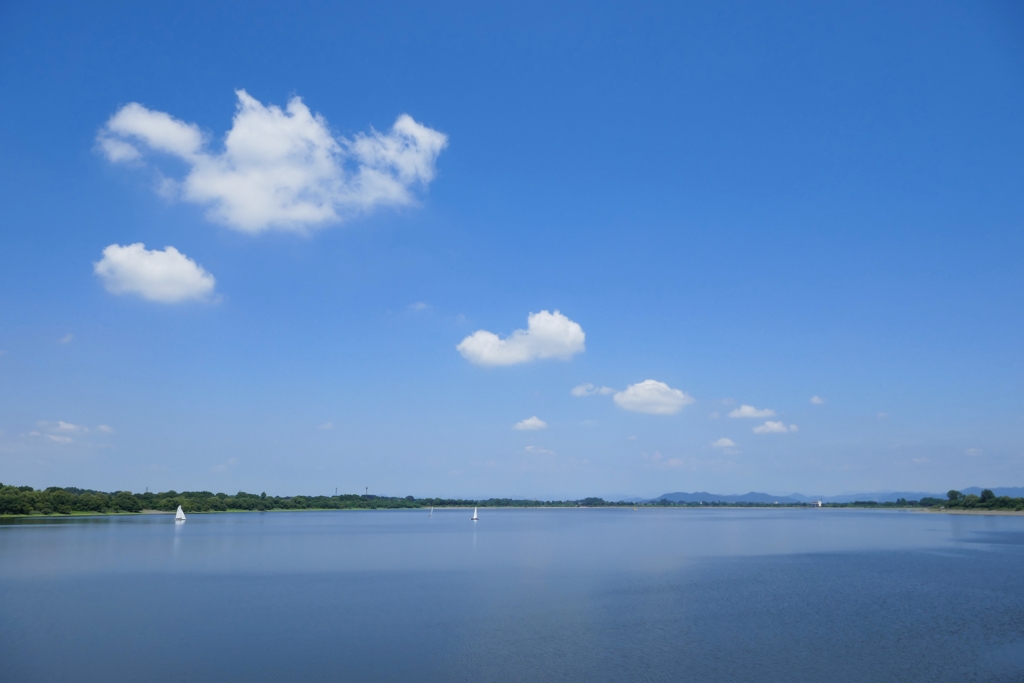 渡良瀬遊水地　谷中湖