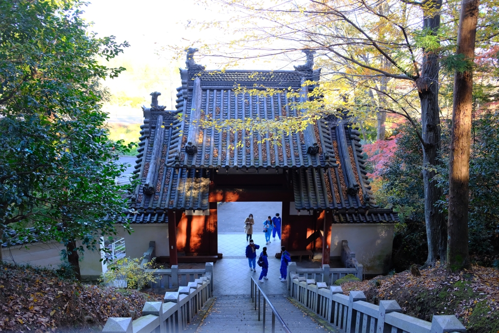 少林山達磨寺　山門