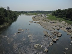 荒川河川敷