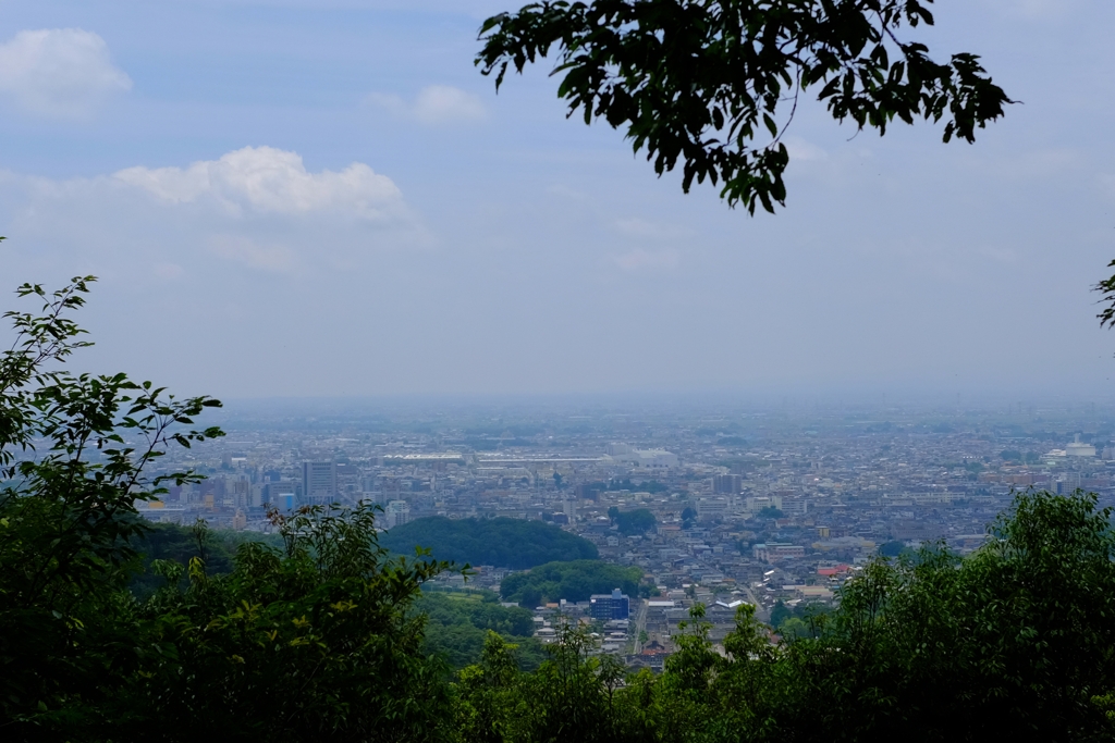 金山城址より関東平野を望む