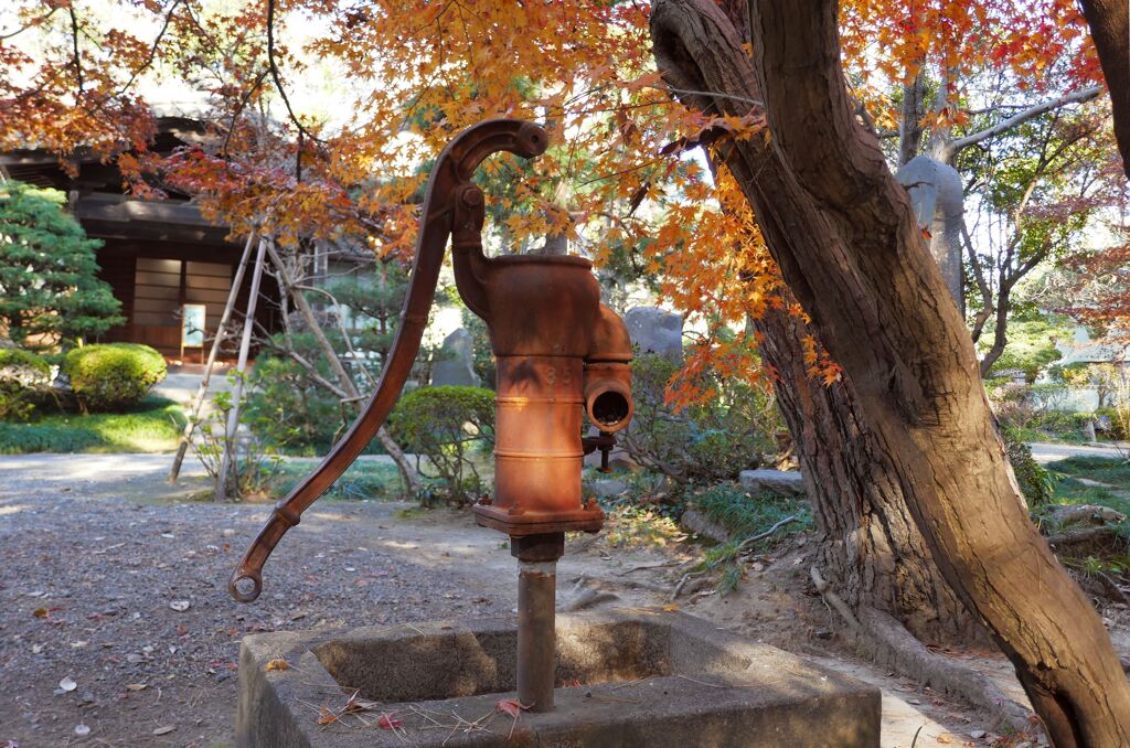 熊谷　常光寺　井戸