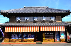 真壁　大和屋薬局