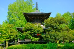 鑁阿寺　多宝塔