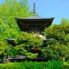 鑁阿寺　多宝塔