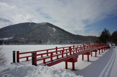 赤城神社-2