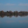 渡良瀬遊水地
