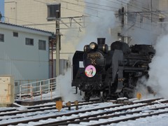パレオエクスプレス