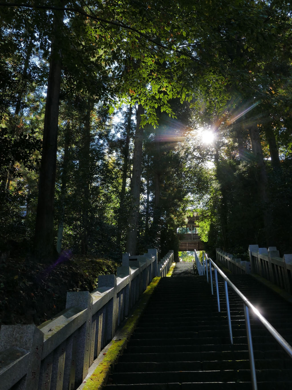 少林山達磨寺