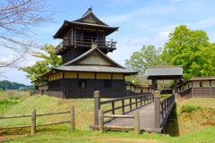 逆井城