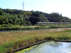 東武東上線