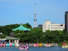 不忍池とスカイツリー