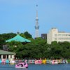 不忍池とスカイツリー