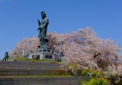 桜と観音様