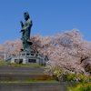 桜と観音様
