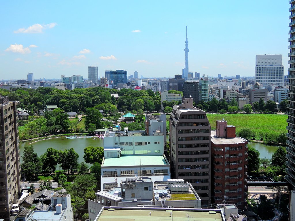 不忍池とスカイツリー_俯瞰