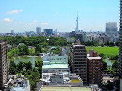 不忍池とスカイツリー_俯瞰