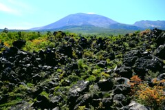 溶岩と浅間山