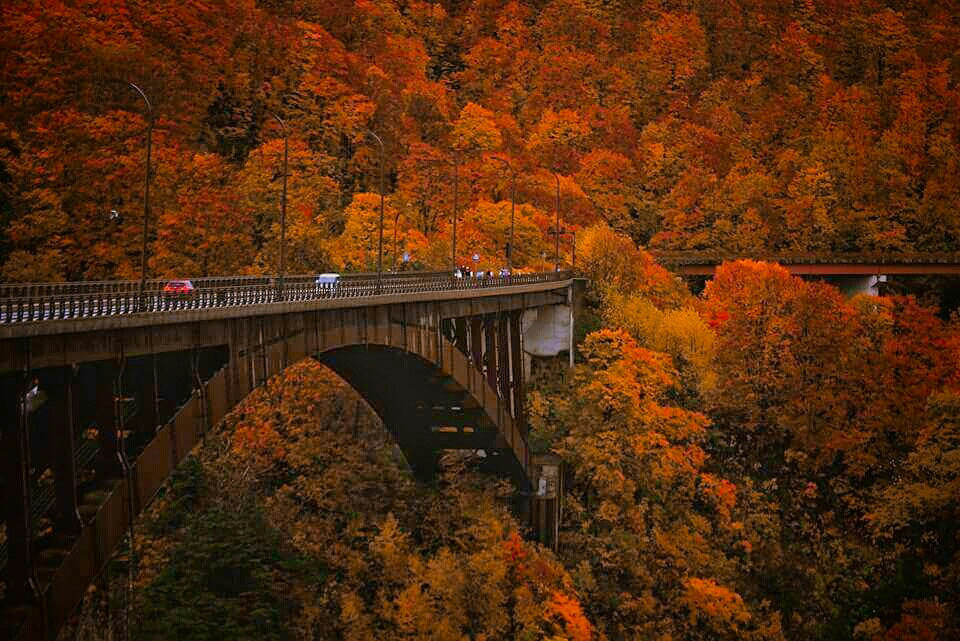 秋の城ヶ倉大橋