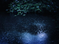 rainyday