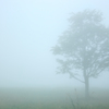 mist 