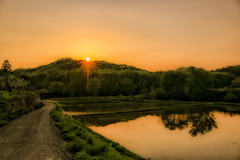 いつかの夕暮れ