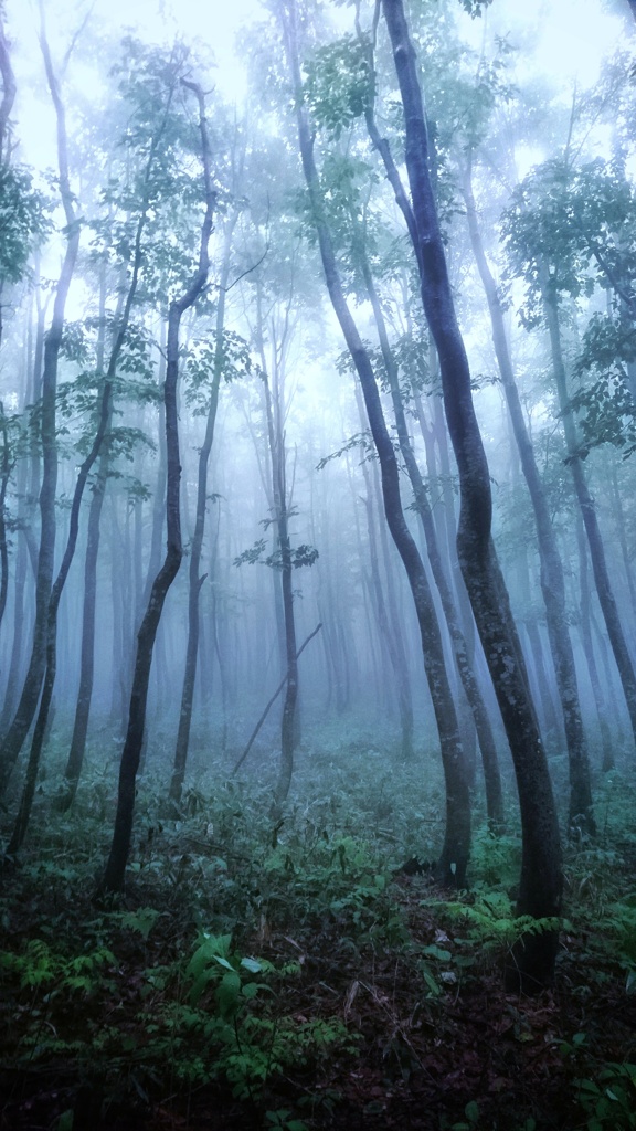 silence