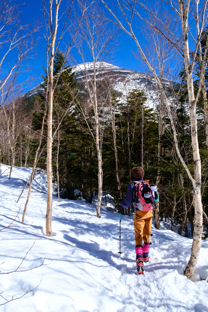 山頂まであと半分