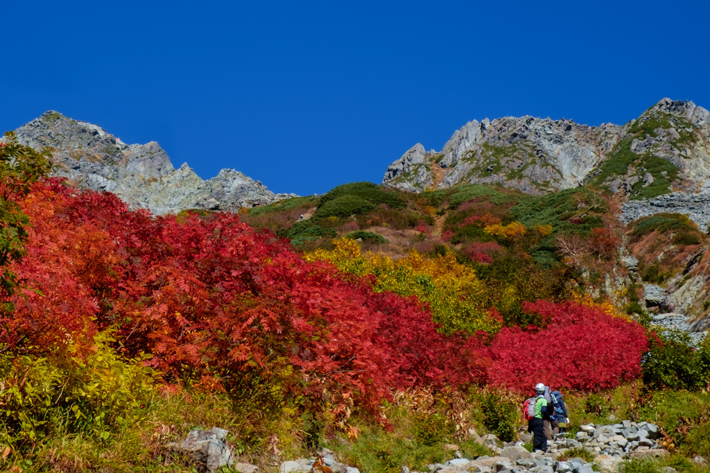 涸沢紅葉2014 その５