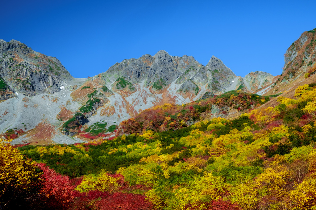 涸沢紅葉2014 その２