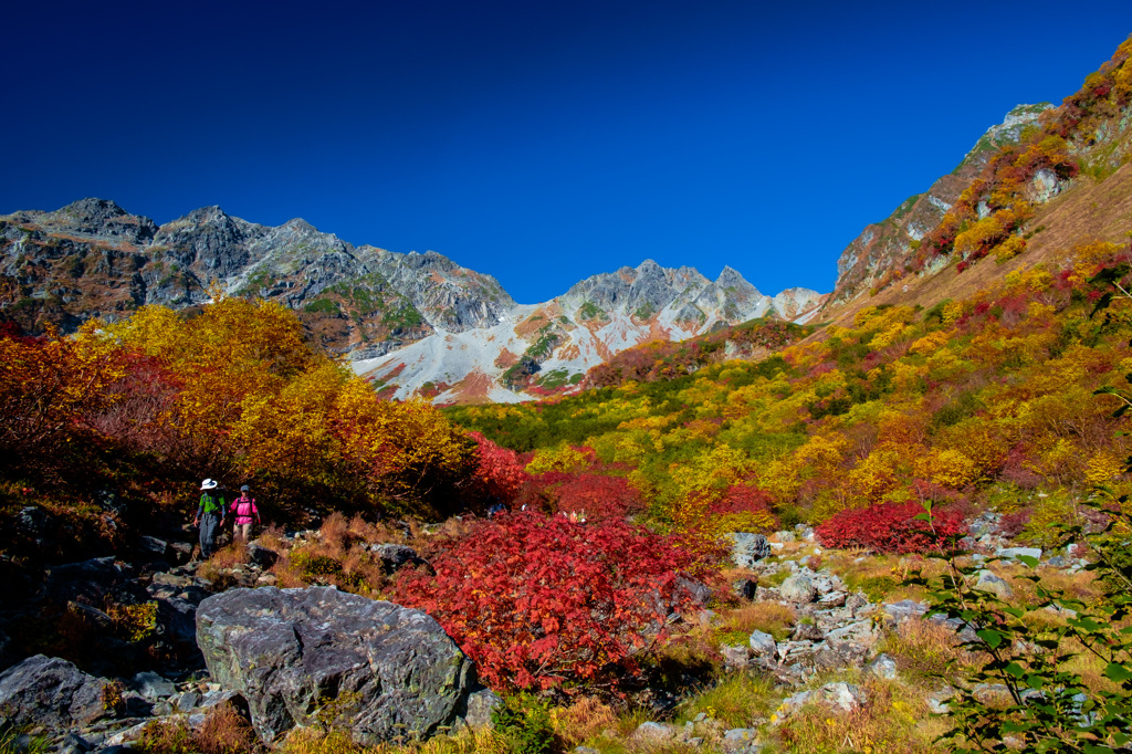 涸沢紅葉2014 その１