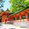 武蔵一宮 氷川神社