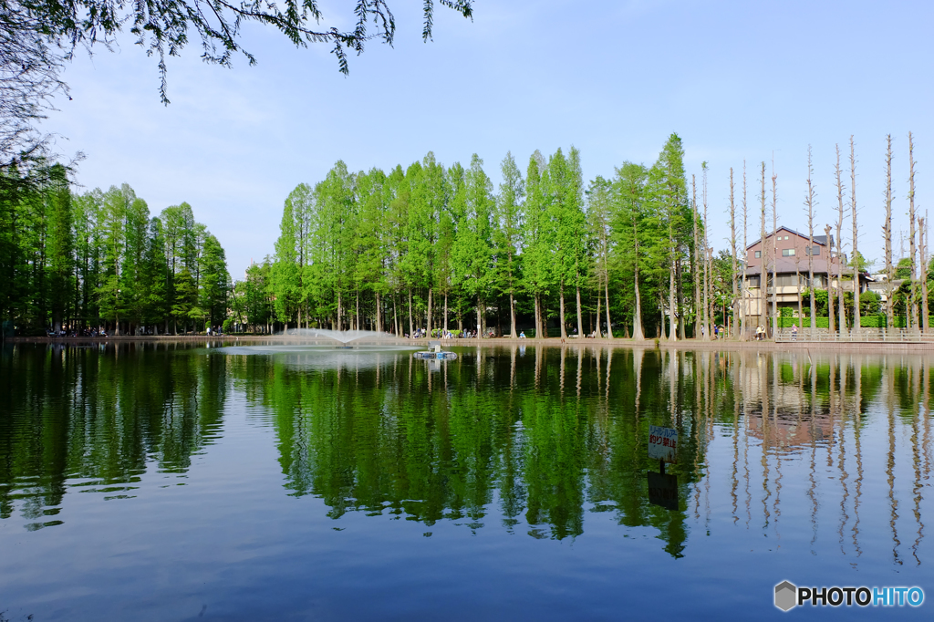 別所沼公園