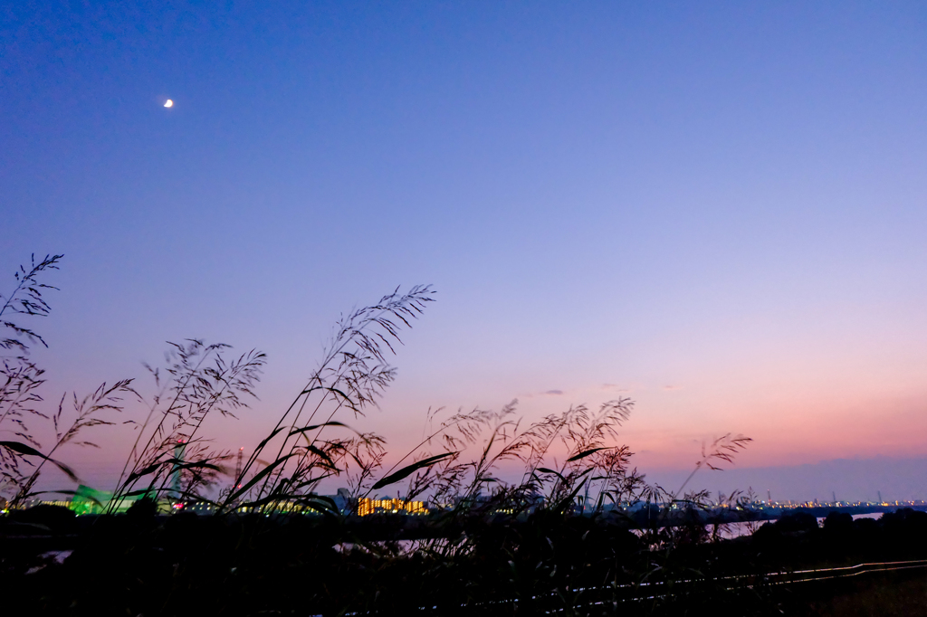 河川敷の夕暮れと月