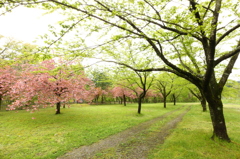 岩手県　石羽根ダム 湖畔広場
