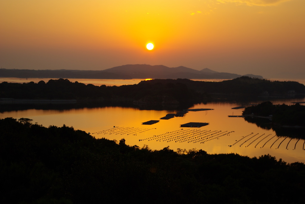 黄金色の夕日