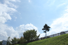山梨道の駅めぐりから