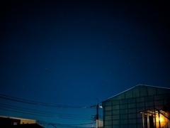 星明かりの下