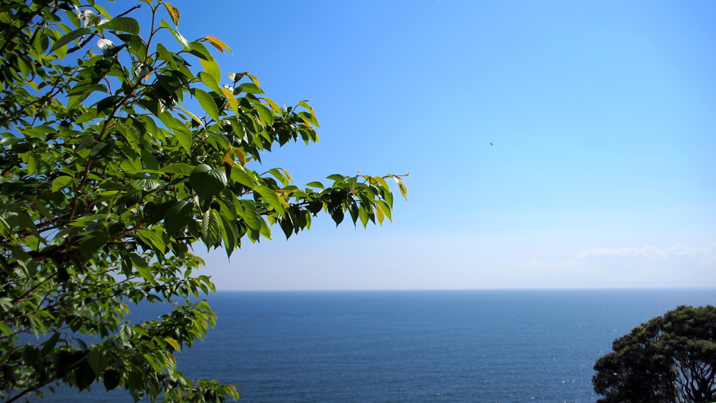 片瀬江の島５