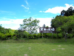 ランチタイム