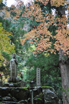 永平寺にて