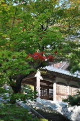 永平寺にて