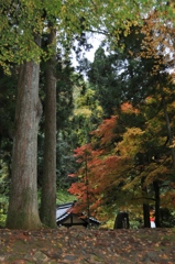 永平寺にて
