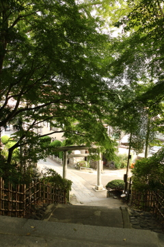 yumoto_iwaki_3997