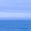 IMG_6295