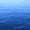 onahama_iwaki_4414