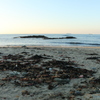 onahama_iwaki_5184