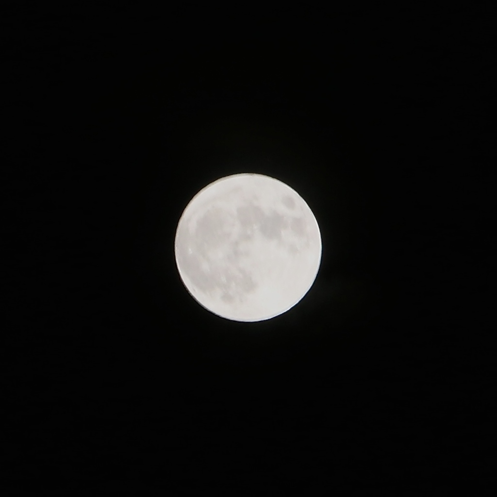 taira_iwaki_4777