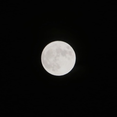 taira_iwaki_4777